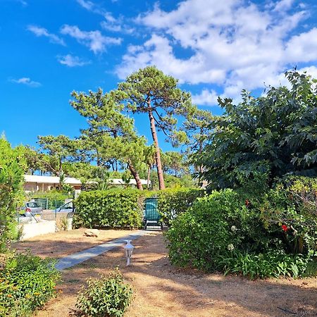 Mini Villa Jardin 50 M Plage Borgo  Exterior foto
