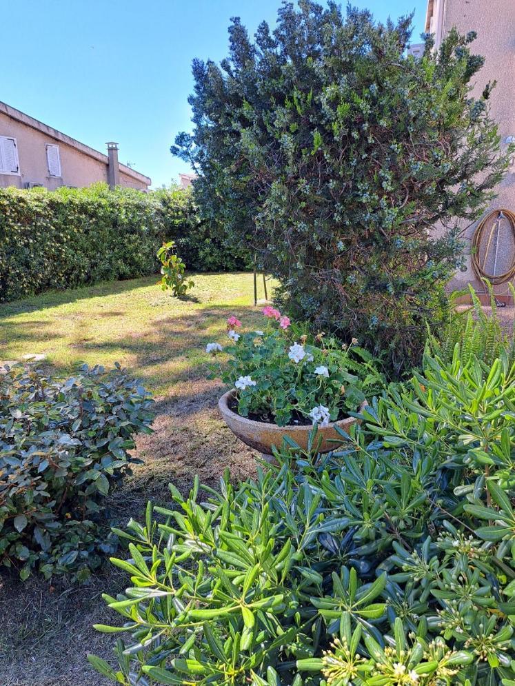 Mini Villa Jardin 50 M Plage Borgo  Exterior foto