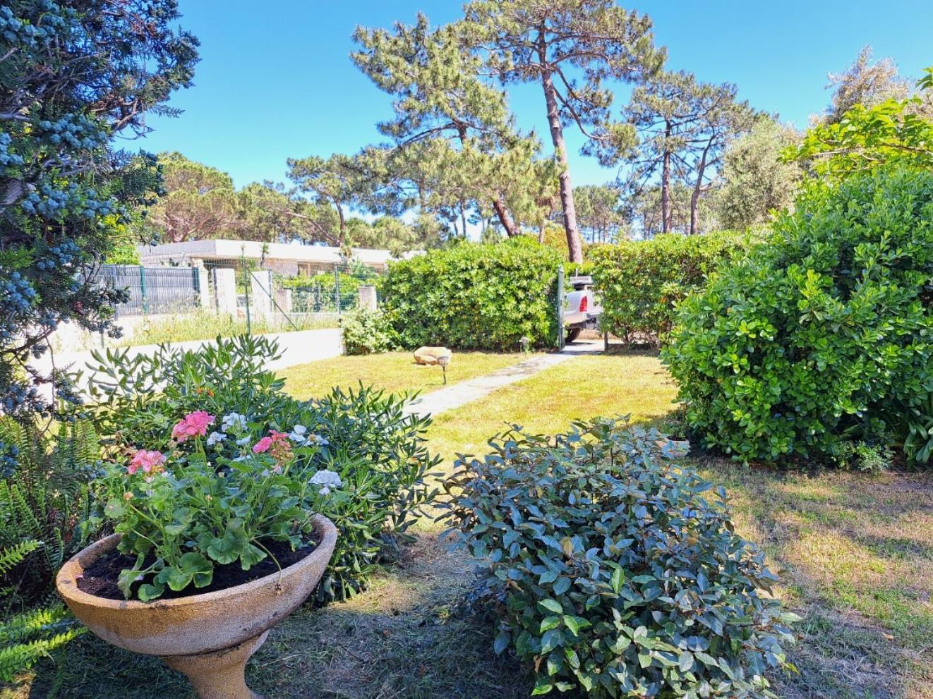 Mini Villa Jardin 50 M Plage Borgo  Exterior foto